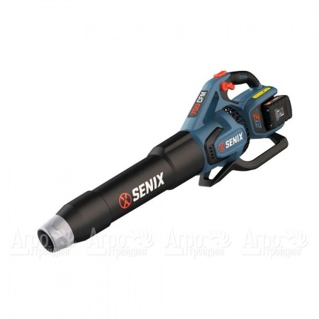 Воздуходувка аккумуляторная Senix BLAX2-M2-EU в Перми