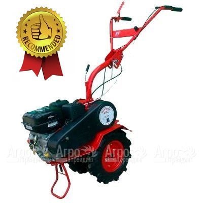 Мотоблок Агат БС-6.5 с двигателем Briggs&#38;Stratton RS 6.5 л.с. (фрезы в комплекте) в Перми