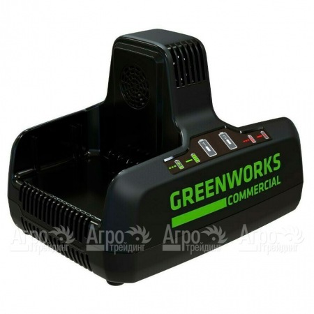 Быстрое зарядное устройство GreenWorks G82C2  в Перми