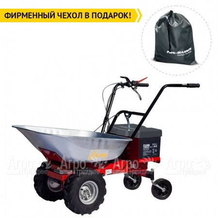 Самоходная тележка Eurosystems Carry Electric 300W-24V в Перми