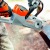 Аккумуляторная пила Stihl MSA 140 C-BQ-12 в Перми