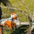 Аккумуляторная пила Stihl MSA 220 C-B-16" (без аккумулятора и зарядного устройства) в Перми