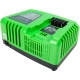 Быстрое зарядное устройство Greenworks G40UC5 в Перми