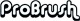 ProBrush